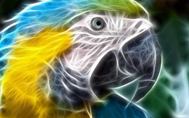 Art Animals Art Animals 1 Art Animals