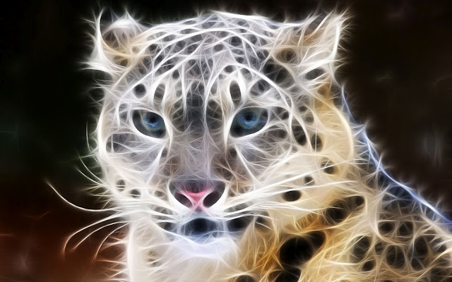 Art Animals Art Animals 10 Art Animals