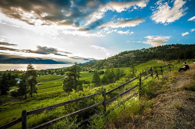 Photography by Caillum Smith Caillum Smith Photography by Caillum Smith