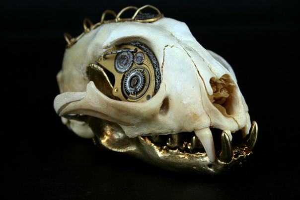 Taxidermy meets technology in Lisa Blacks augmented mammal, bird and reptile cyborgs Departed Caracal 905 Taxidermy meets technology in Lisa Blacks augmented mammal, bird and reptile cyborgs