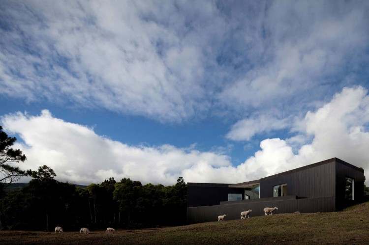 C/Z House, dialogue with nature House CZ by SAMI Arquitectos 1 750x499 C/Z House, dialogue with nature