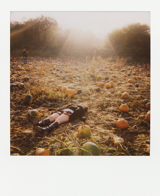 In the Pumpkin Garden In the Pumpkin Garden 9 In the Pumpkin Garden