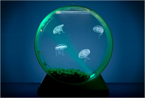 LED Desktop Jellyfish Tank 111 LED Desktop Jellyfish Tank