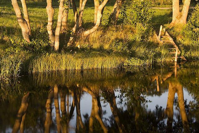 Nature Photography by Tiina Gill Tiina Gill Nature Photography by Tiina Gill