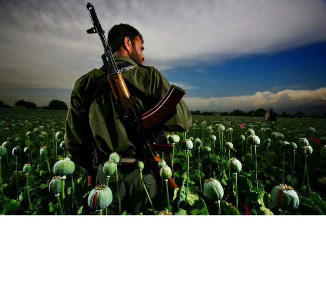 Astonishing Photography By Brent Stirton Travel371 Astonishing Photography By Brent Stirton