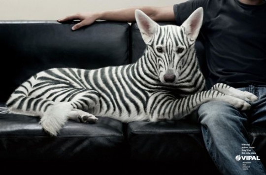 a 13 Animals in Creative Print Ads