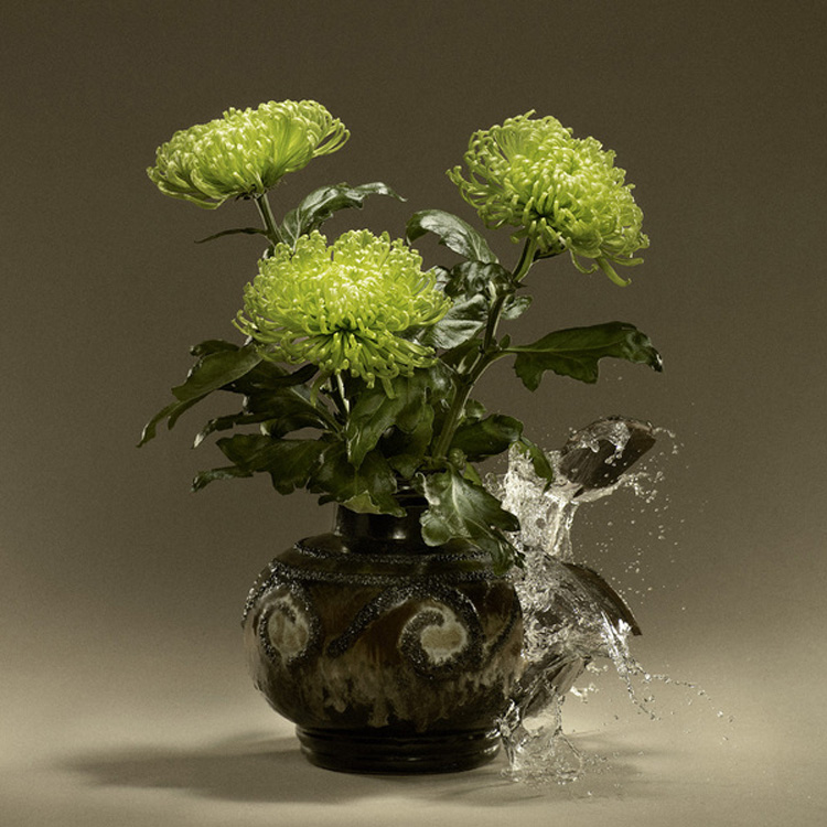 Blomst by Ken Hermann blomst1 Blomst by Ken Hermann
