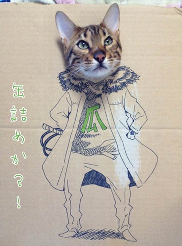 How to have fun with your cat and cardboard chinese cardboard cat 2 How to have fun with your cat and cardboard