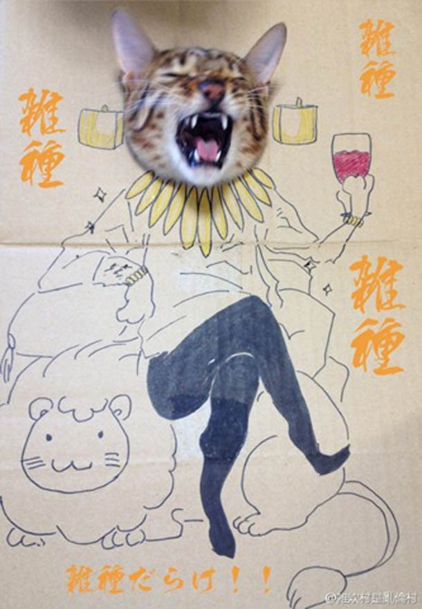 How to have fun with your cat and cardboard chinese cardboard cat 3 How to have fun with your cat and cardboard