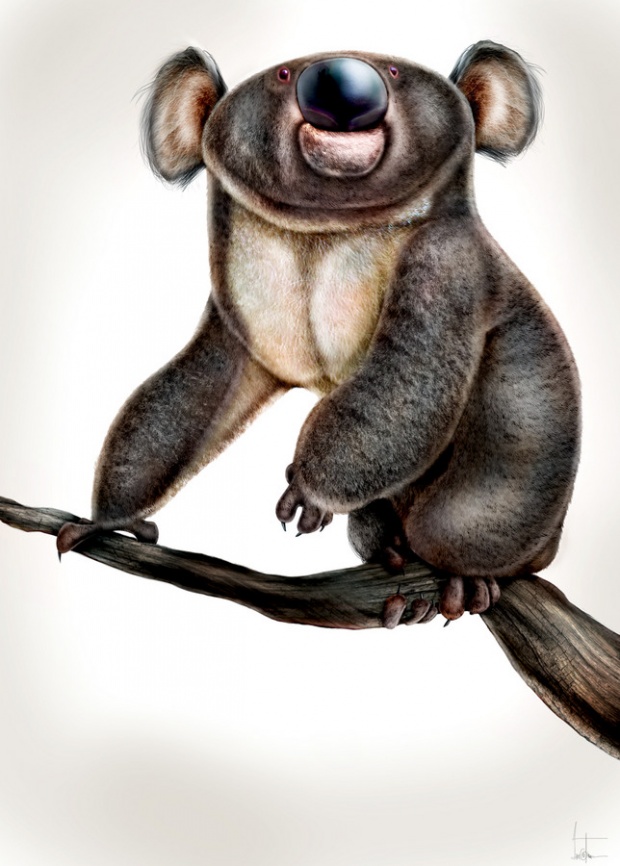 i1a110 Animals by Jean Baptiste Vendamme