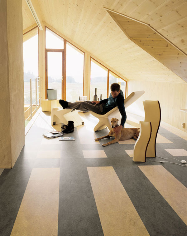 Amazing Attic Living Spaces i1a129 Amazing Attic Living Spaces