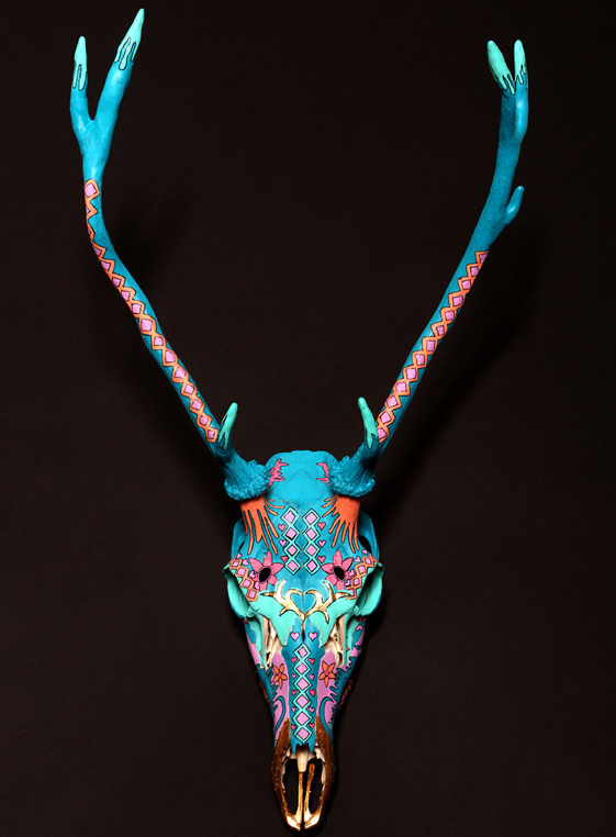 Lauren Baker Skull Art Lauren Baker Skull Art