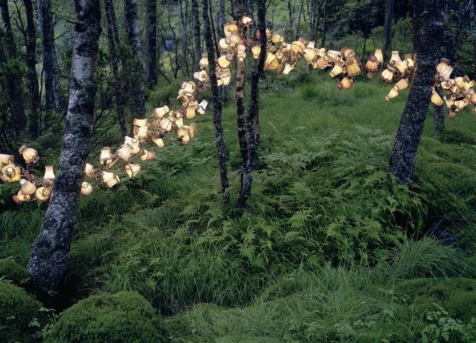 reneguneriussen2 Objects in Nature by Rune Guneriussen