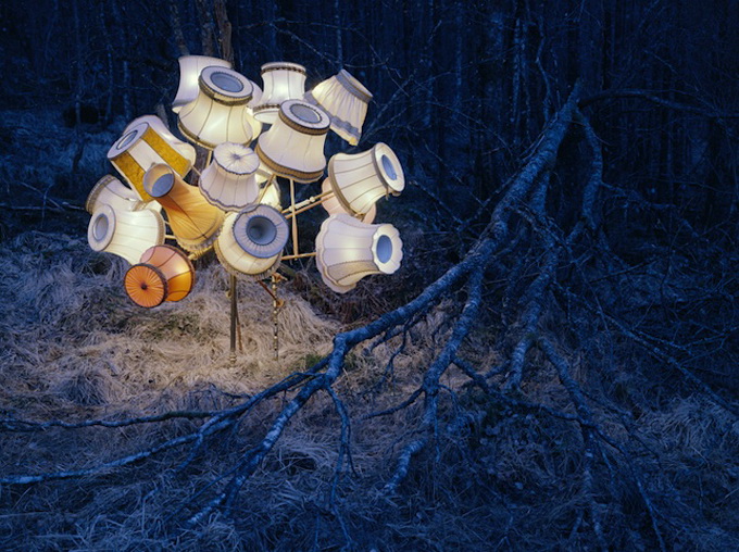 reneguneriussen6 Objects in Nature by Rune Guneriussen