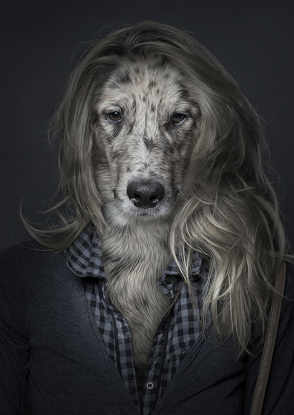 If Dogs and People Were One If Dogs and People Were One
