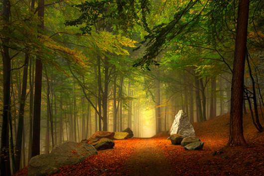 1127 Goodbye Autumn: Vibrant Silhouettes of Fall