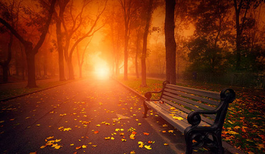 1128 Goodbye Autumn: Vibrant Silhouettes of Fall