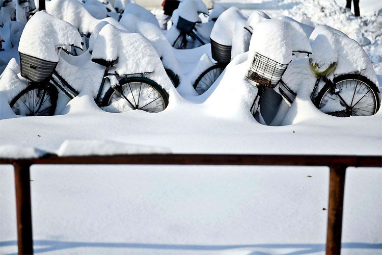 Photo of the Day: Frozen Bikes 124 Photo of the Day: Frozen Bikes