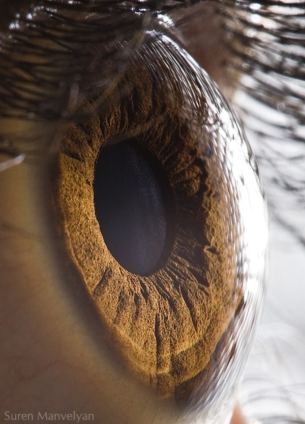 Amzing Photography by Suren Manvelyan – Your Beautiful Eyes 1901 Amzing Photography by Suren Manvelyan – Your Beautiful Eyes