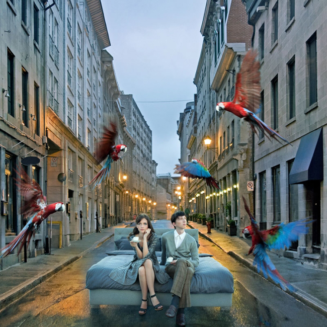 Award Winners Photography Of 2011 2011 4 Award Winners Photography Of 2011