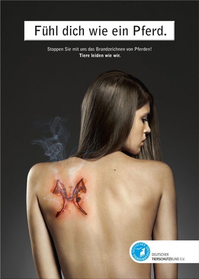 Animal Rights 15+ Creative PETA Advertisements