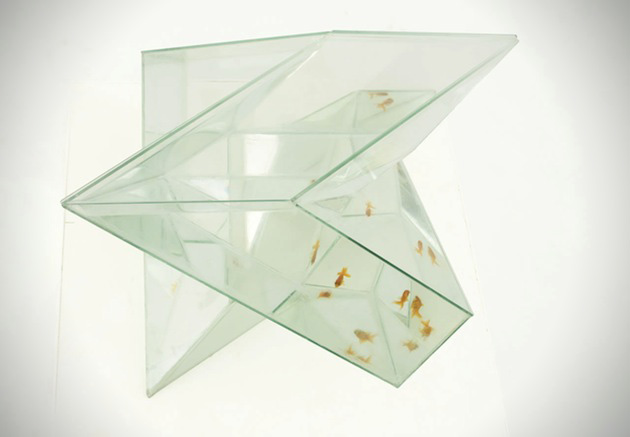  Stylish Infinity Aquarium For Your Home