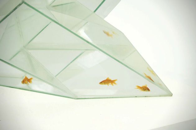  Stylish Infinity Aquarium For Your Home