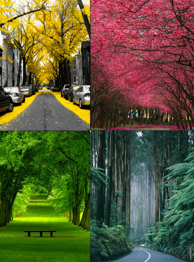 Inspiring Photography Of Nature’s Beauty Back to Nature 8 Inspiring Photography Of Nature’s Beauty
