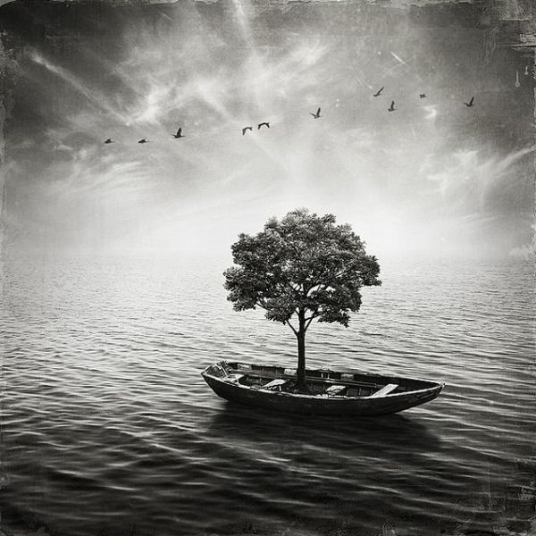 Beautiful Surreal Photo Beautiful Examples Photo Manipulation
