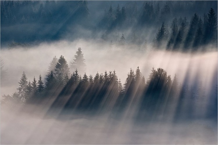 Breathtaking Photography of Early Morning Fog Across Majestic Landscapes Breathtaking Photography of Early Morning Fog Across Majestic Landscapes 15 @ GenCept 750x500 Breathtaking Photography of Early Morning Fog Across Majestic Landscapes