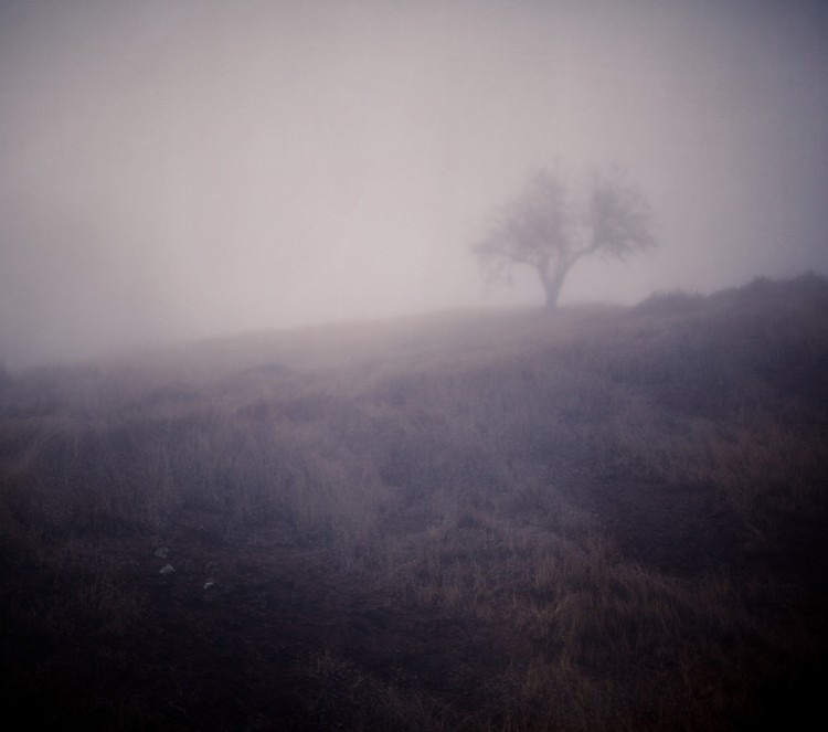 Photography by Cole Rise Cole Rise3 750x663 Photography by Cole Rise