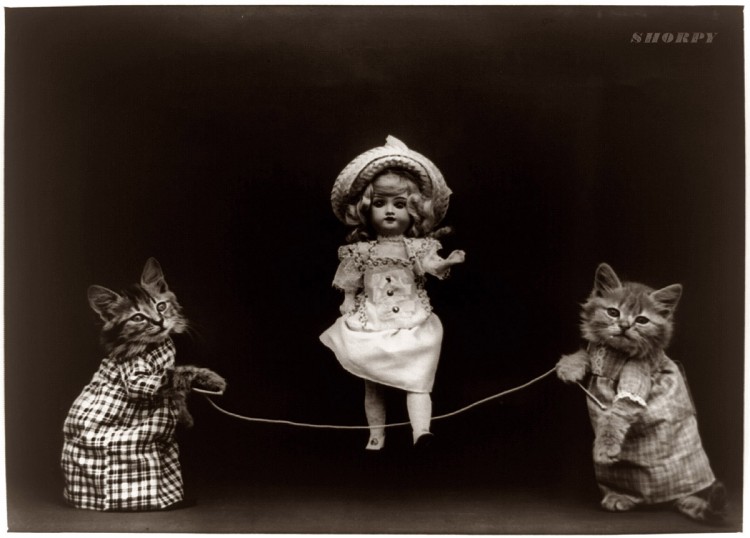 Creepy Cat Portraits in The Early 1900’s Creepy Cat Portraits in The Early 1900’s 1 750x538 Creepy Cat Portraits in The Early 1900’s