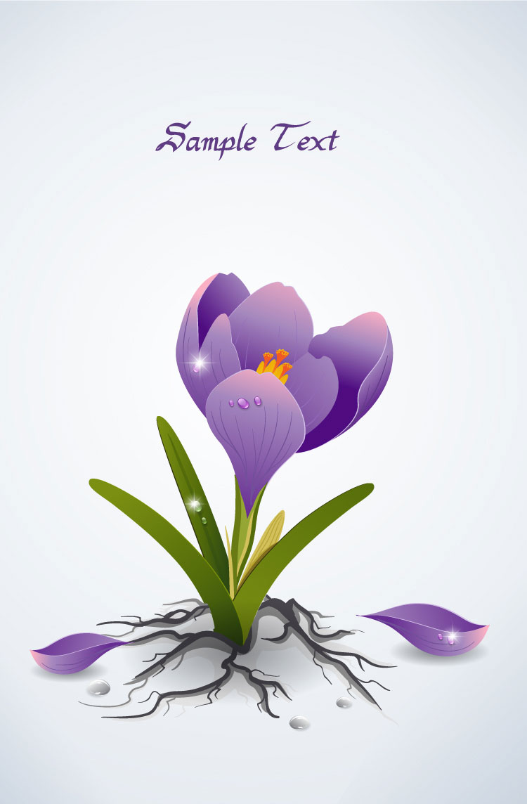 Free Floral Illustration Free floral illustration 1 Free Floral Illustration