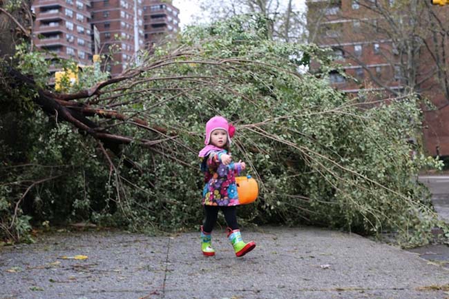 Photos Of New Yorkers After Hurricane Sandy By Pinar Photos Of New Yorkers After Hurricane Sandy By Pinar