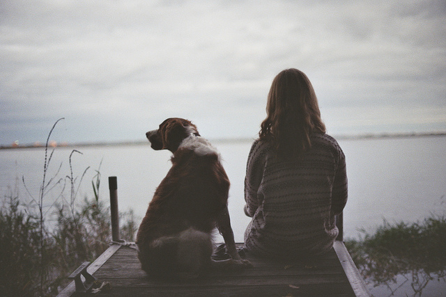 Love Me Love My Dog Love Me Love My Dog 1 Love Me Love My Dog
