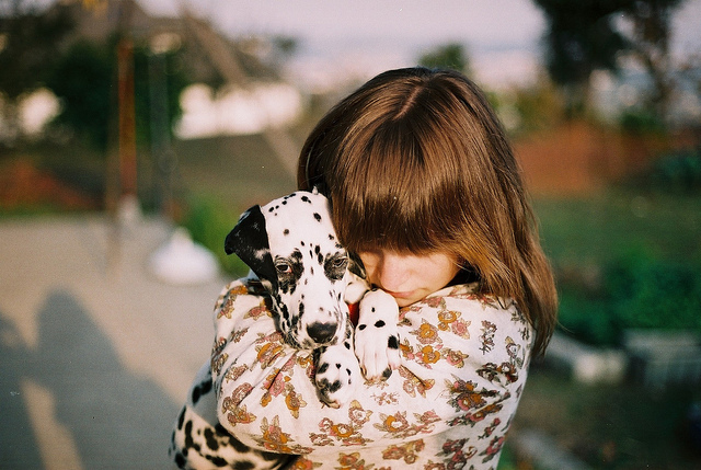 Love Me Love My Dog Love Me Love My Dog 3 Love Me Love My Dog