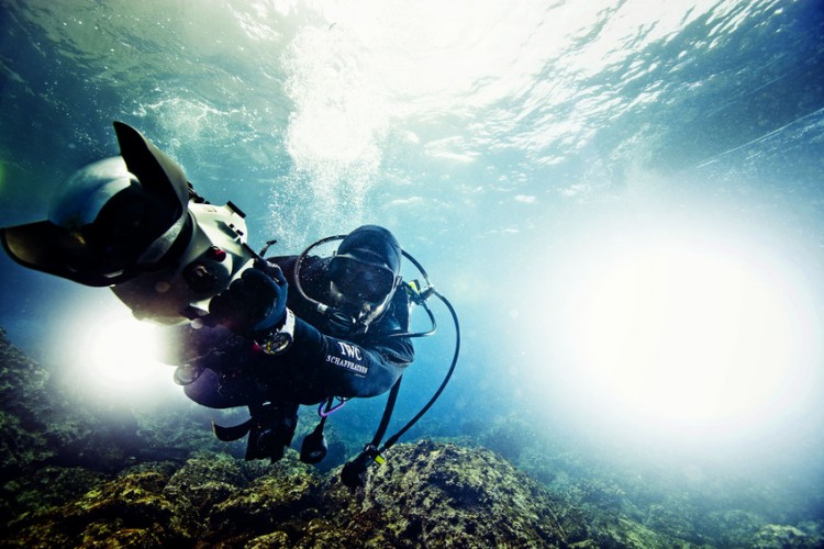 Underwater Photography by Michael Muller Michael Muller3 750x500 Underwater Photography by Michael Muller