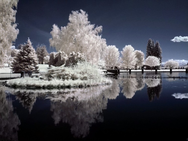 Paula Cobleigh1 750x562 Nature Photography by Paula Cobleigh
