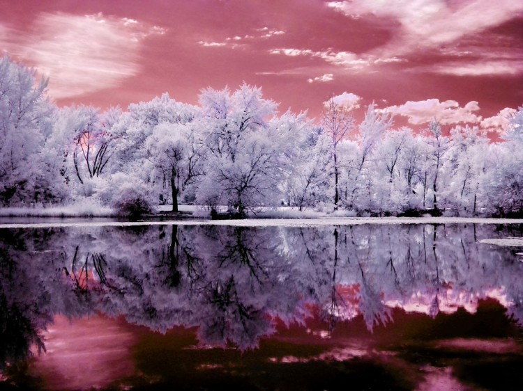 Nature Photography by Paula Cobleigh Paula Cobleigh3 750x562 Nature Photography by Paula Cobleigh