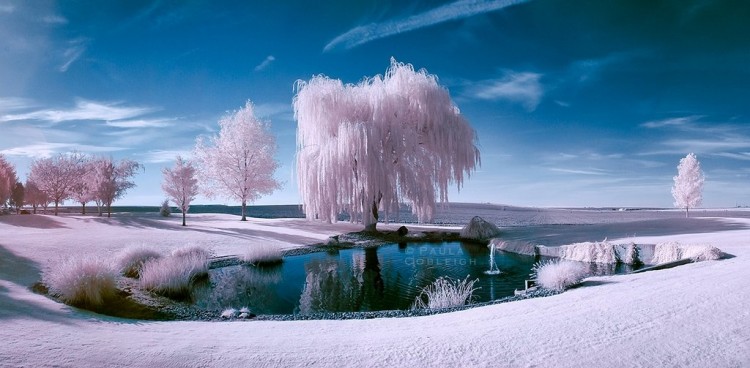 Nature Photography by Paula Cobleigh Paula Cobleigh7 750x368 Nature Photography by Paula Cobleigh