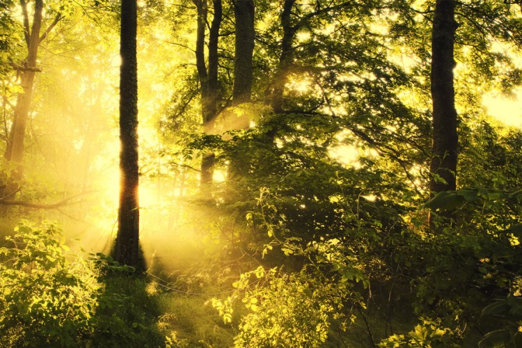 Nature Photography by Pawel Matys Pawel Matys 750x500 Nature Photography by Pawel Matys