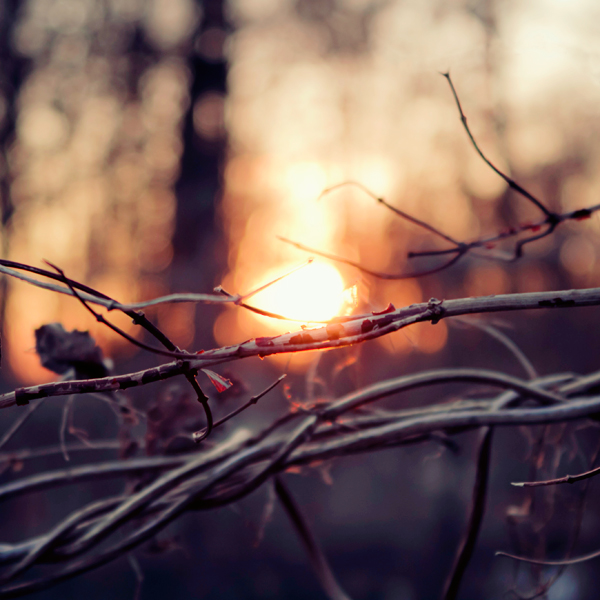 Pawel Matys7 Nature Photography by Pawel Matys