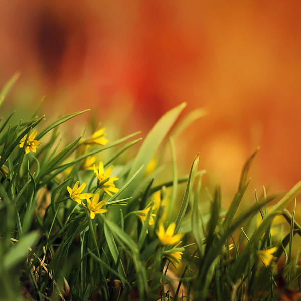Pawel Matys9 Nature Photography by Pawel Matys