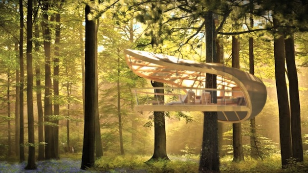 Tree Rooms at Eterra Samara Tree Rooms at Eterra Samara
