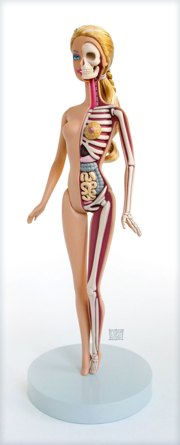anatomical barbie 1 Anatomical Barbie 