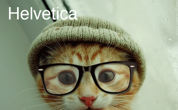 If Fonts Were Cats cats as fonts 1 If Fonts Were Cats