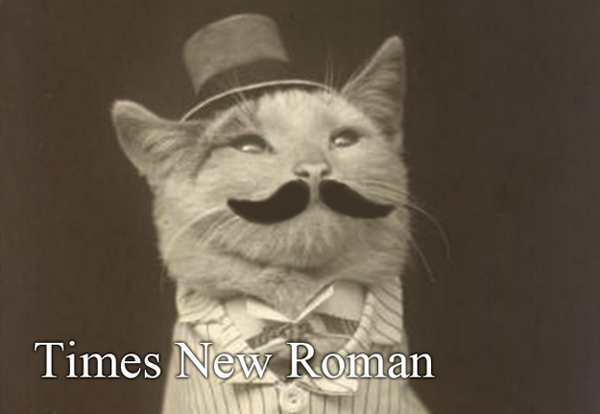 If Fonts Were Cats cats as fonts 10 If Fonts Were Cats