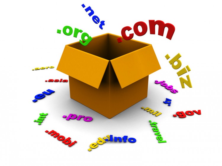 earthlink domain register1 750x562 Why a Domain Name is Critical to Your Online Presence