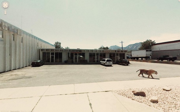 Shocking and Unexpected Street View Photos i1b14 Shocking and Unexpected Street View Photos