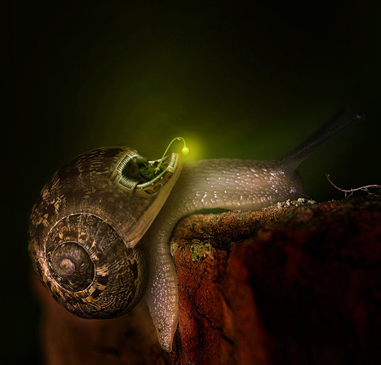 Incredible Surreal Artworks That Will Blow Your Mind 29 Incredible Surreal Artworks That Will Blow Your Mind